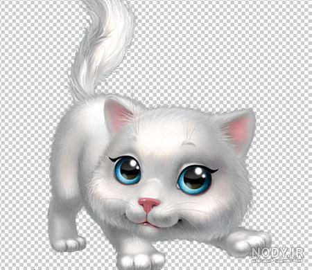 عکس گربه برای پروفایل واتساپ
