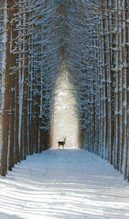  پروفایل زمستانی غمگین