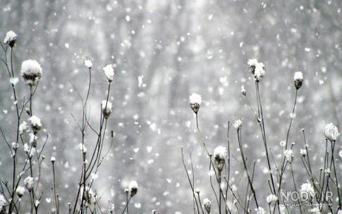  پروفایل زمستانی غمگین