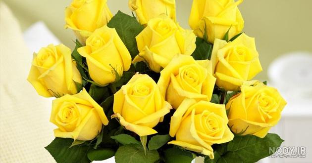  عکس گل زرد برای پروفایل واتساپ