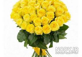  عکس گل زرد برای پروفایل واتساپ