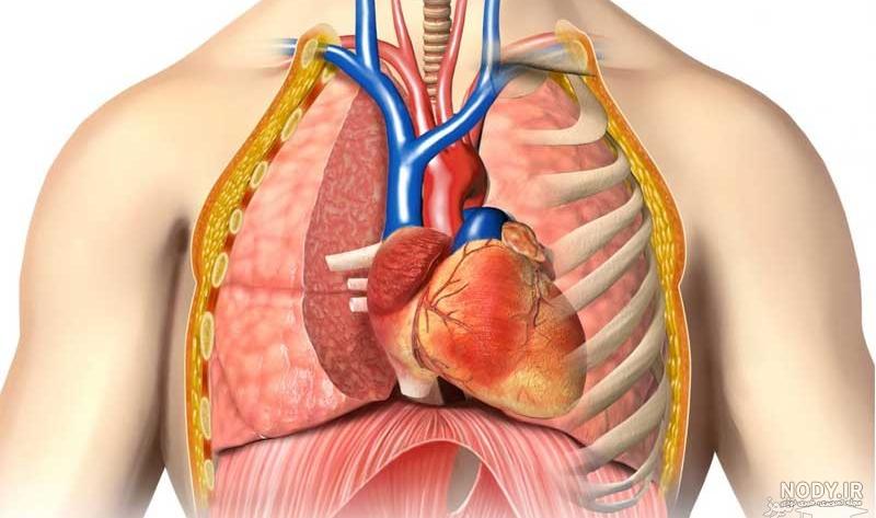 آیا آبسه ریه خطرناک است آیا آبسه ریه خطرناک است