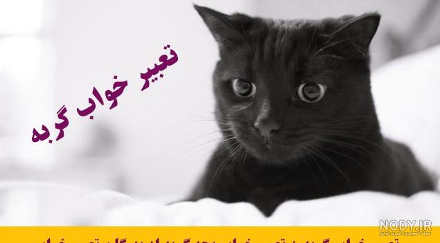 اهنگ گربه صفت ریمیکس اهنگ گربه صفت ریمیکس