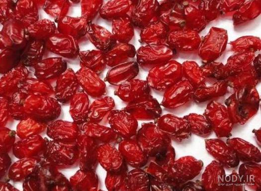 بهترین نوع نهال زرشک