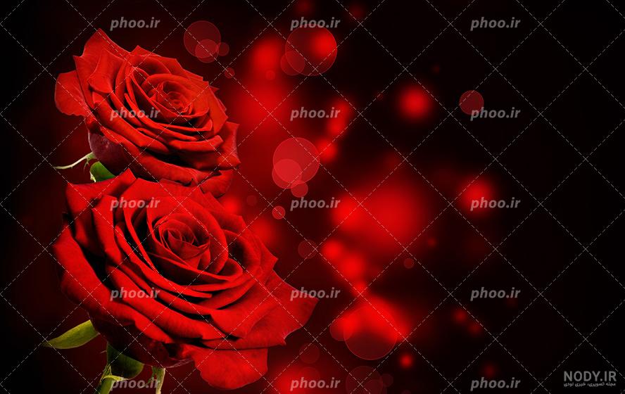تصویر زمینه قرمز قلب تصویر زمینه قرمز قلب