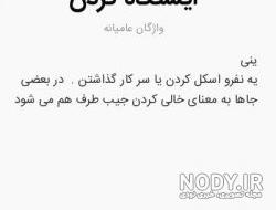جک خنده دار تستچی جک خنده دار تستچی