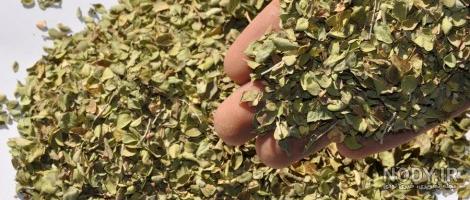 خواص دمنوش آویشن خواص دمنوش آویشن