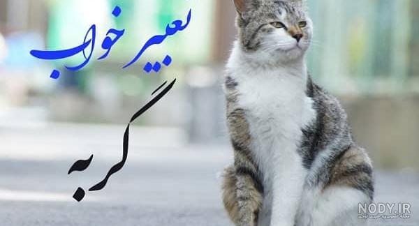 دانلود عکس نوشته گربه صفت دانلود عکس نوشته گربه صفت