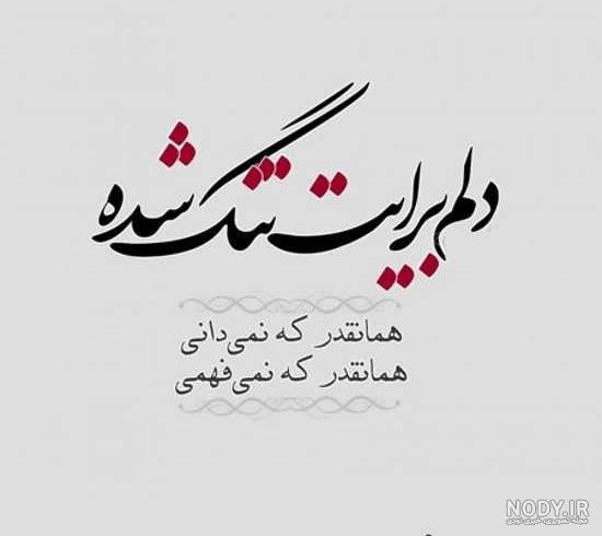 دلتنگ صداتم عشقم دلتنگ صداتم عشقم