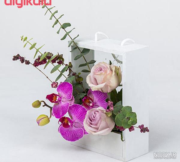 دیجی کالا کاکتوس طبیعی