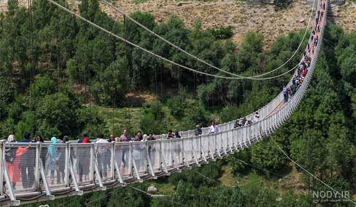 طبیعت گردی تهران در تابستان طبیعت گردی تهران در تابستان