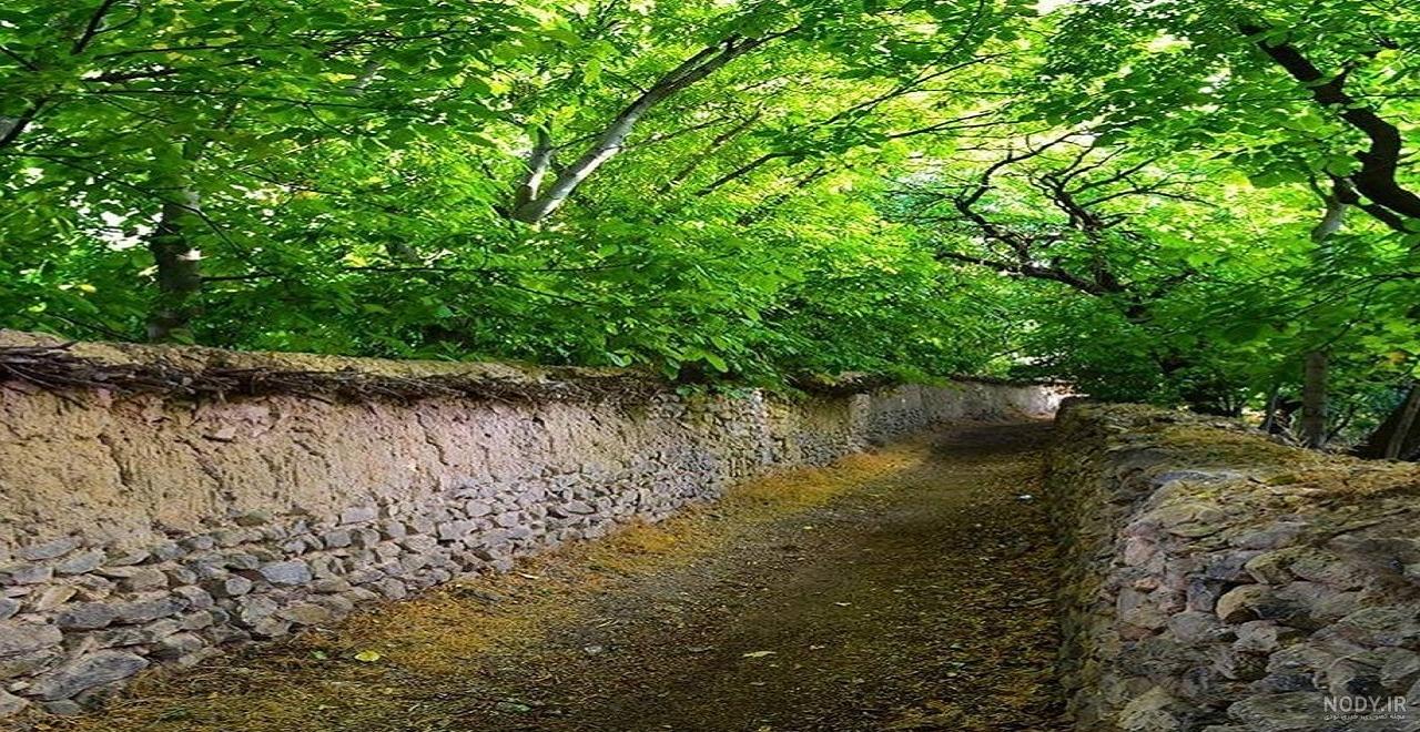 عکس از طبیعت واقعی عکس از طبیعت واقعی