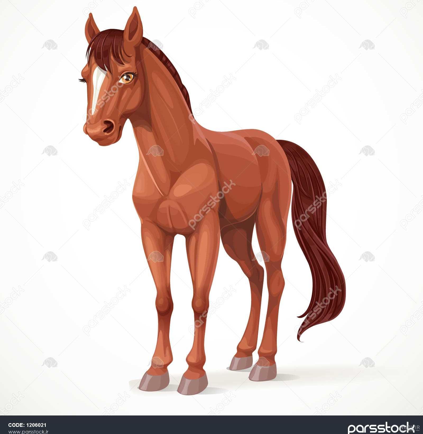 عکس اسب سیاه عکس اسب سیاه