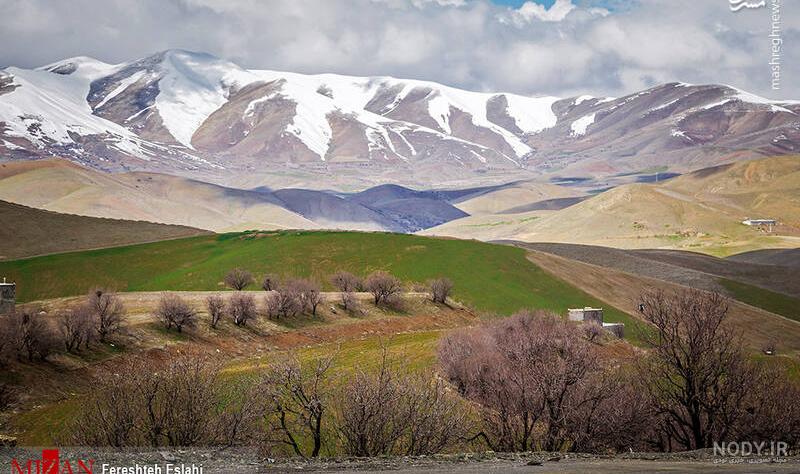 عکس بهاری کردستان عکس بهاری کردستان