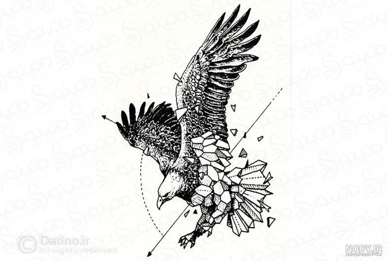 عکس تاتو عقاب روی کمر عکس تاتو عقاب روی کمر