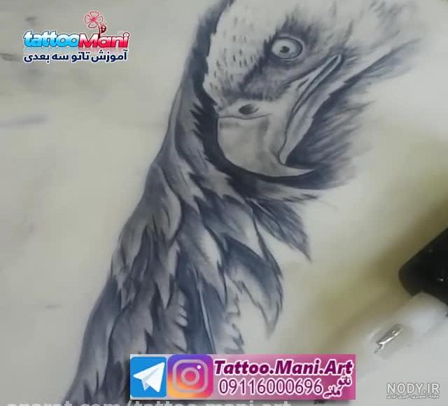 عکس تاتوی عقاب عکس تاتوی عقاب