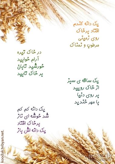 عکس جسد آزاده نامداری عکس جسد آزاده نامداری