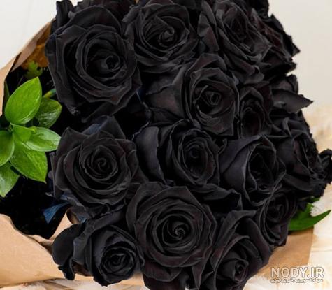 عکس دختر با گل رز مشکی