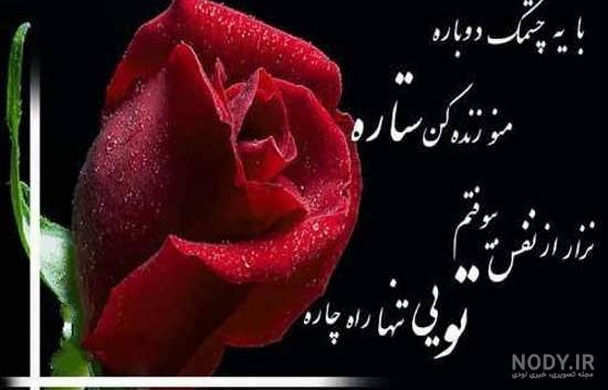 عکس دوست دارم روی گل