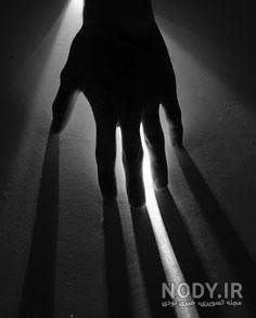 عکس سیاه سفید شاخ