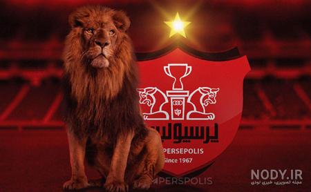 عکس شیر پرسپولیسی عکس شیر پرسپولیسی