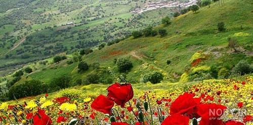 عکس طبیعت بهار کردستان عکس طبیعت بهار کردستان