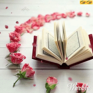 عکس قرآن و گل عکس قرآن و گل