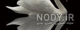 عکس نقاشی قو