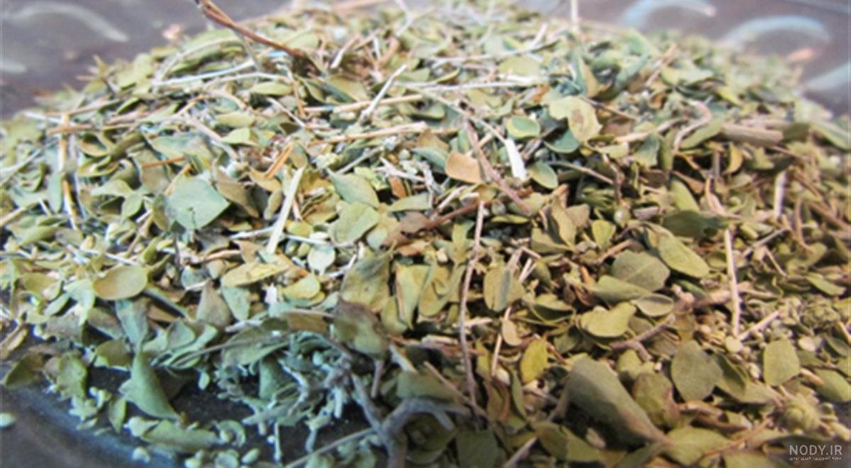 عکس های آویشن خشک شده عکس های آویشن خشک شده