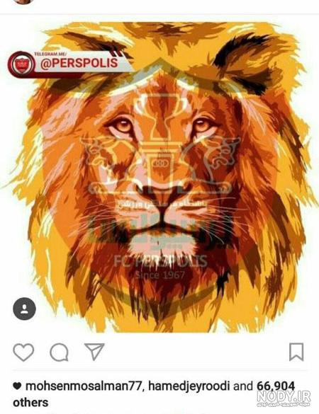 عکس پرسپولیس دربی عکس پرسپولیس دربی