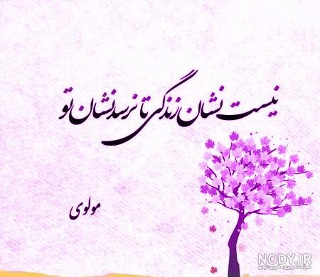 عکس پروفایل جدید معنوی