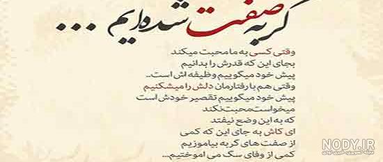 عکس گربه صفت