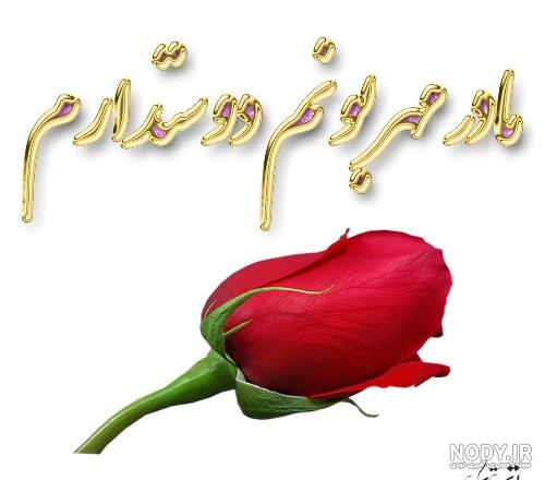 عکس گل با نوشته دوست دارم