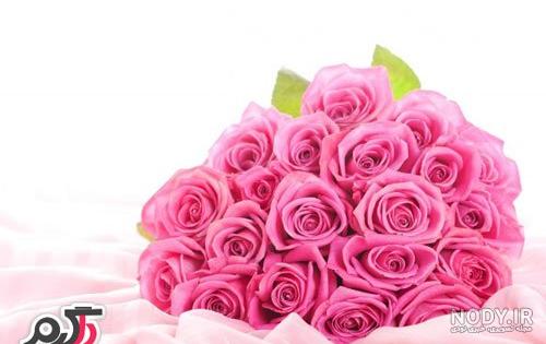 عکس گل رز قرمز و آبی عکس گل رز قرمز و آبی