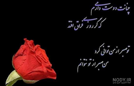 عکس گل طبیعی