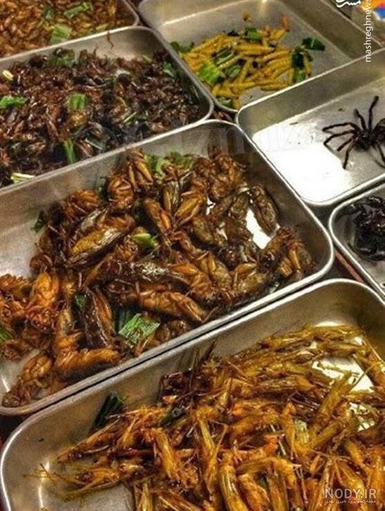 غذای چینی ها موش غذای چینی ها موش