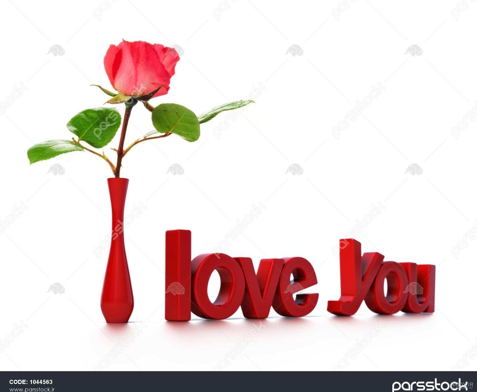 قلب و گل عاشقانه