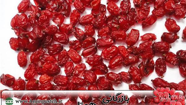 قیمت زرشک سال ۹۹