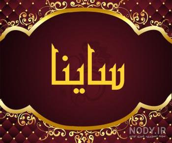 قیمت گل زاموفیلیا دیجی کالا