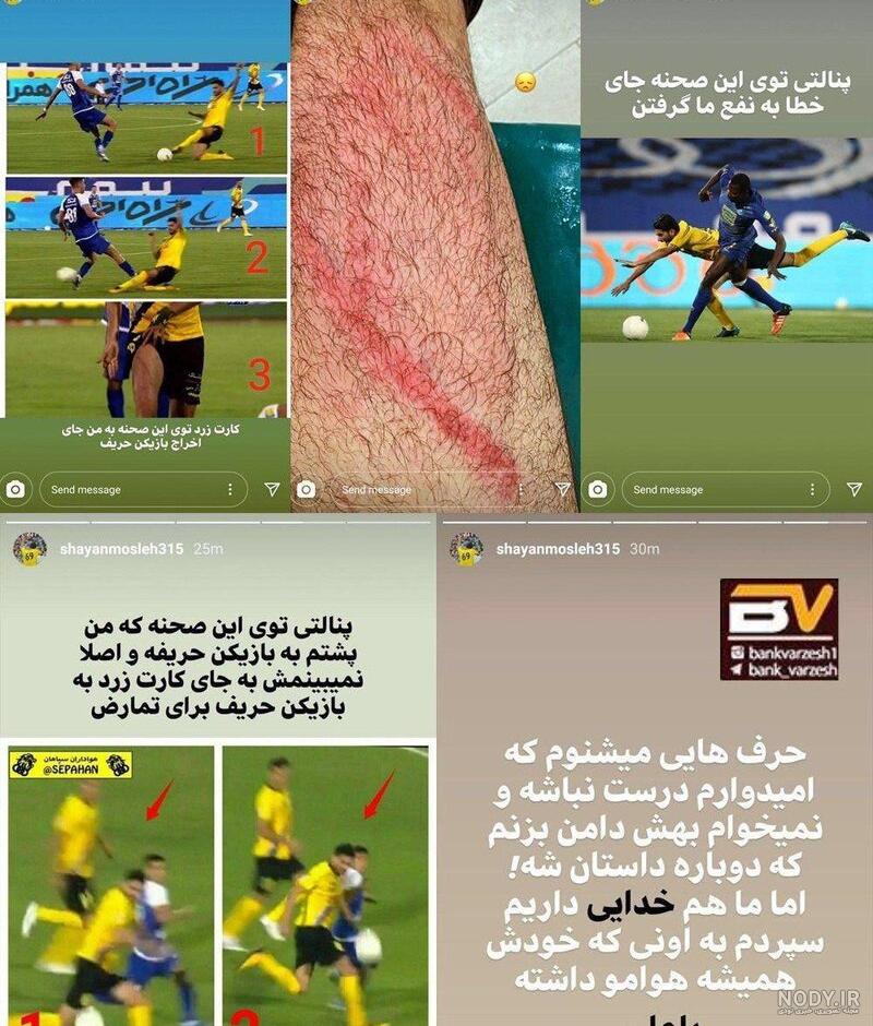 معنی ستوده اند