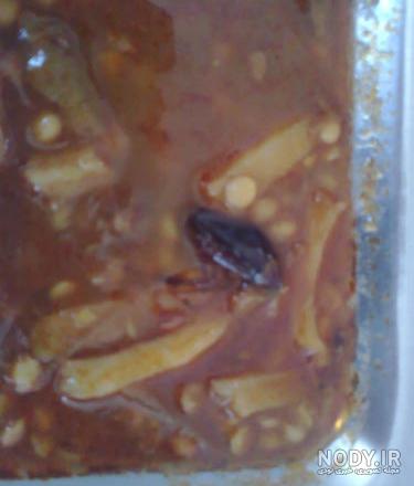 پرورش سوسک تاریکی پرورش سوسک تاریکی
