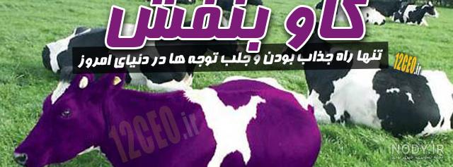 کتاب گاو بنفش دیجی کالا
