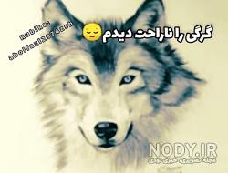 گربه صفت نباشید گربه صفت نباشید