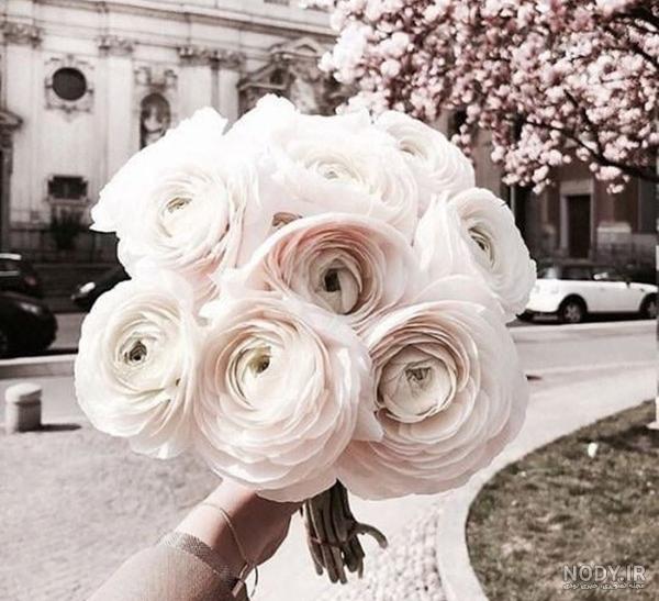 عکس دختر در طبیعت واقعی