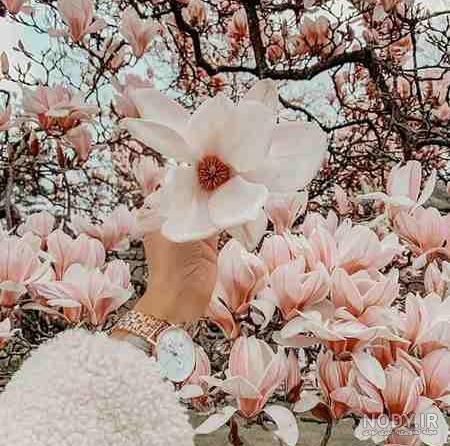 عکس دختر در طبیعت واقعی