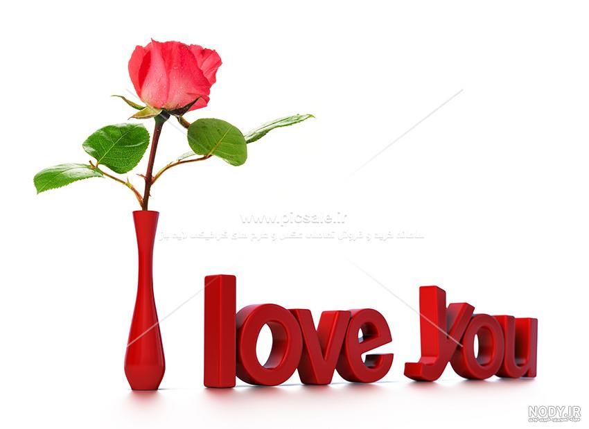 عکس پروفایل گل رز زرد