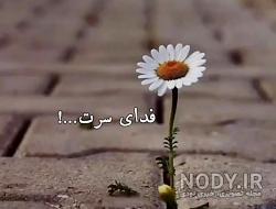 استوری زیبا برای واتساپ استوری زیبا برای واتساپ