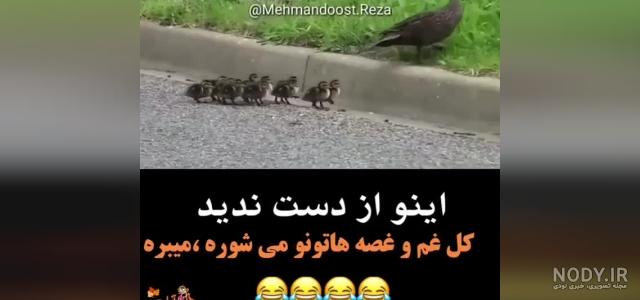 استوری واتساپ باحال عاشقانه استوری واتساپ باحال عاشقانه