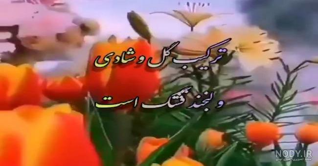 استوری کلیپ عاشقانه شاد برای وضعیت واتساپ استوری کلیپ عاشقانه شاد برای وضعیت واتساپ
