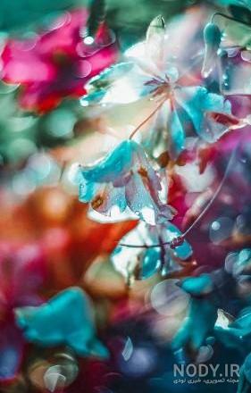 تصویر زمینه خفن لاتی تصویر زمینه خفن لاتی